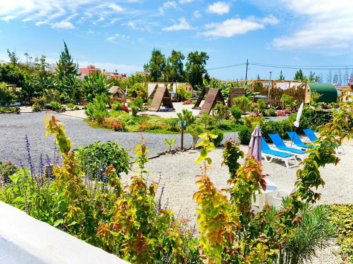 Arrebol Suite Con Jacuzzi, Piscina Y Naturaleza Buzanada Exterior foto