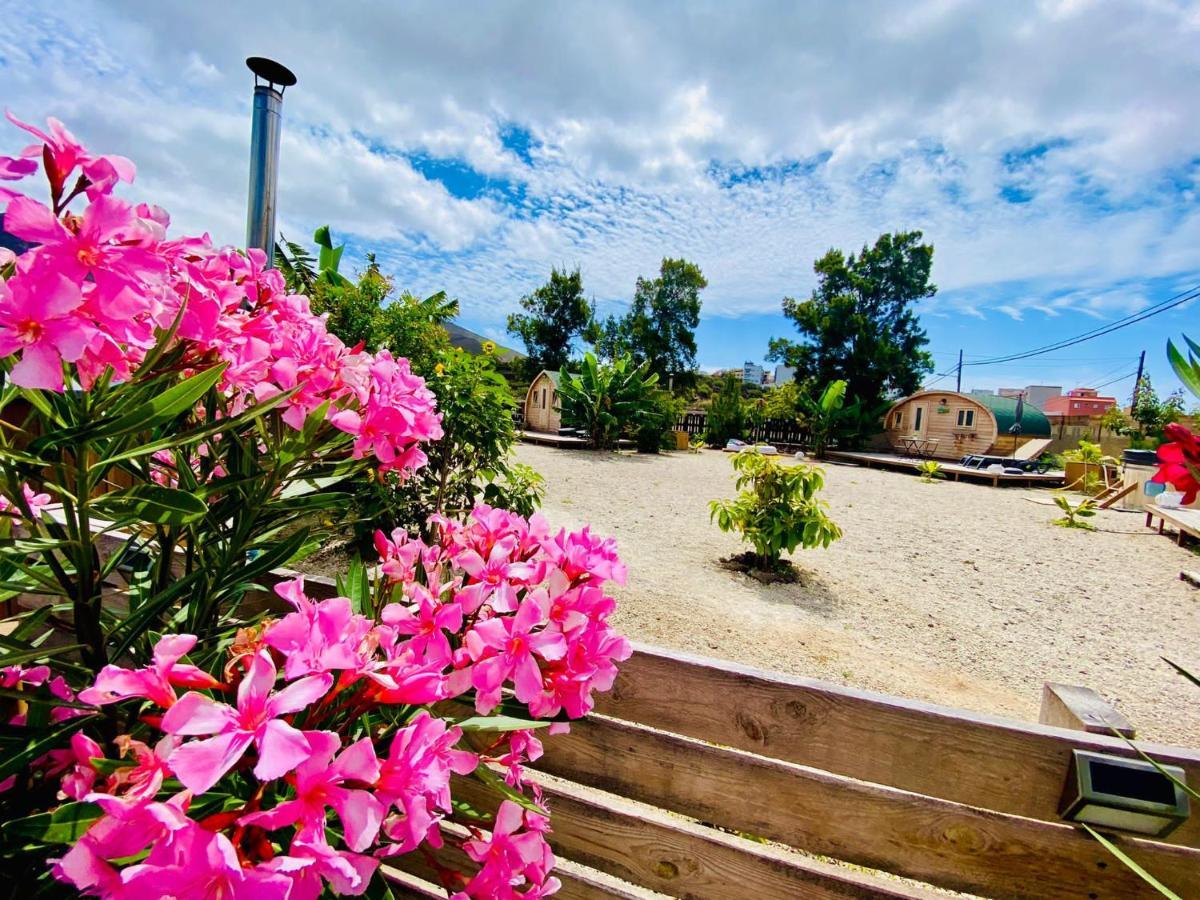 Arrebol Suite Con Jacuzzi, Piscina Y Naturaleza Buzanada Exterior foto